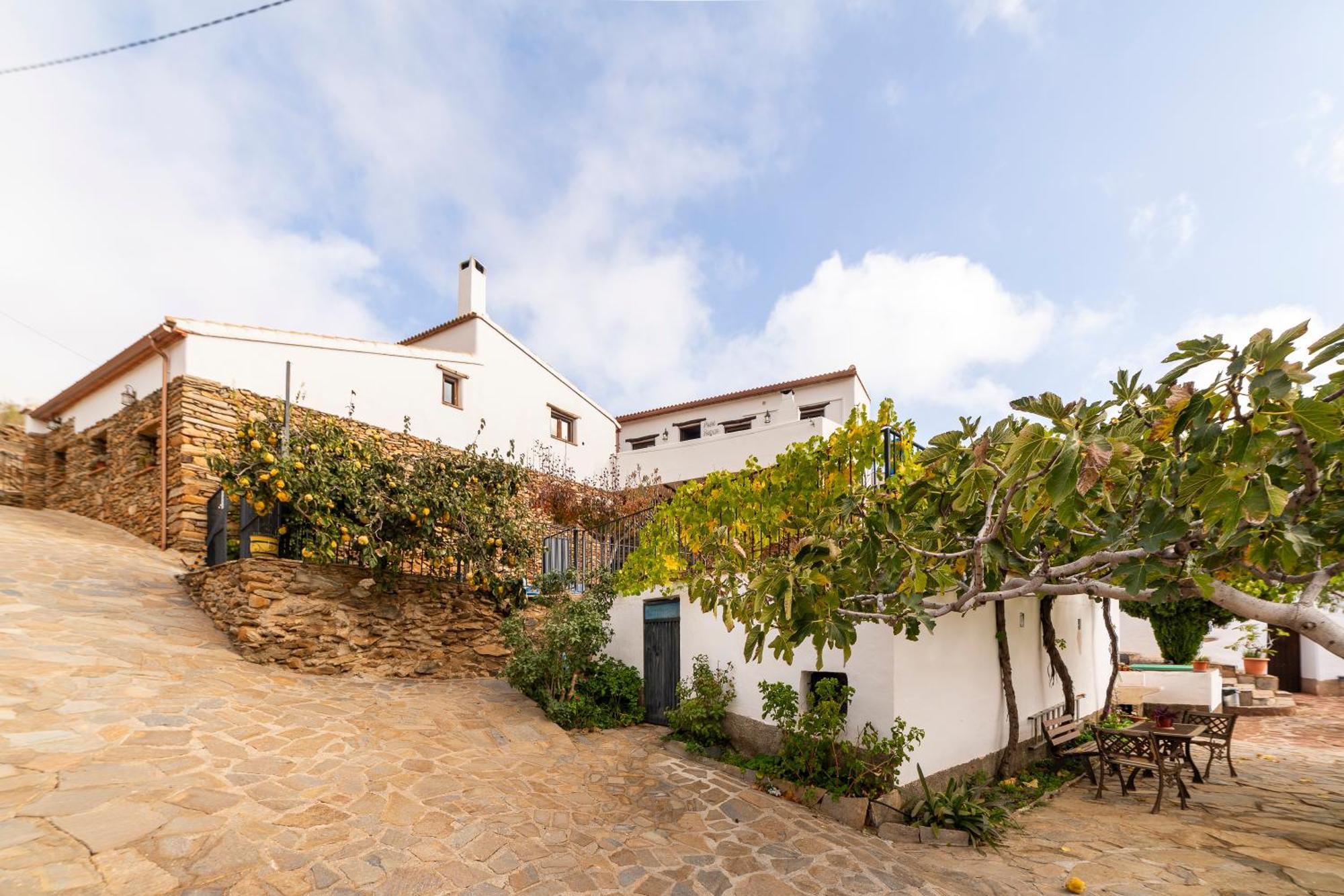 Casa Rural Albaida Laroya Dış mekan fotoğraf
